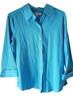 David Brooks Textured Blue Button Down Blouse